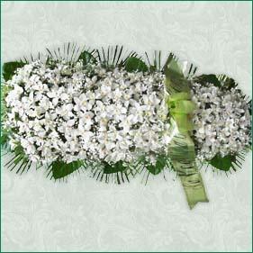 Fiori