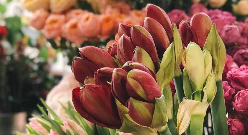 Compositions and fresh floral tributes